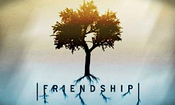 Friendship