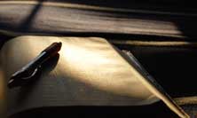 sidebar-image-bible